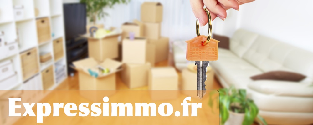 Immobilier